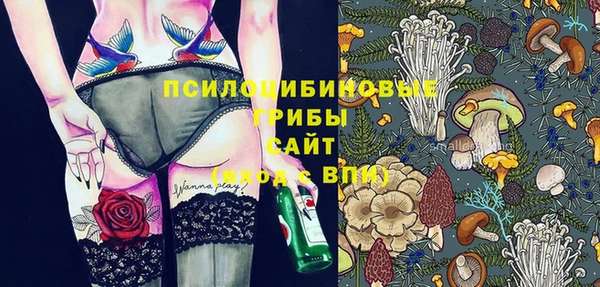 гидра Алзамай