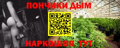 сатива Краснодар