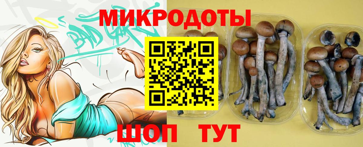 Псилоцибиновые грибы GOLDEN TEACHER Красноярск