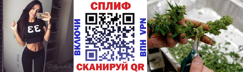 Конопля гибрид  где продают наркотики  Красноярск 